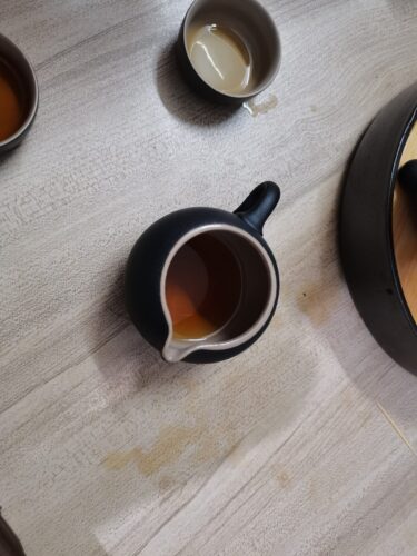 Riveting Chinese Gongfu Tea Set with Tray photo review