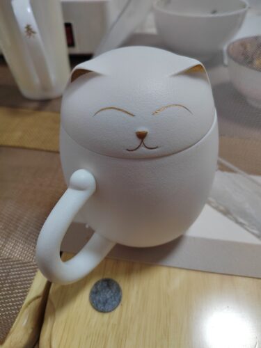 Cat Travel Tea Mug with Infuser and Lid 12 OZ photo review