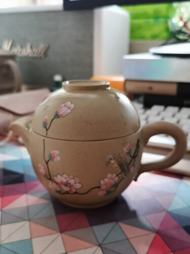 Bird Flower Chinese Yixing Travel Tea Set for One photo review