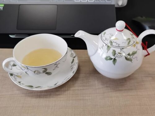 Bird Flowers Porcelain Tea Set for One Bone China photo review