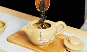 TSB16BB009 d2 Bird Flower Chinese Yixing Travel Tea Set for One