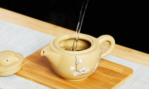 TSB16BB009 d3 Bird Flower Chinese Yixing Travel Tea Set for One