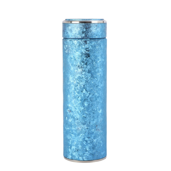 TSB20BB002 F 16 OZ Titanium Vacuum Insulated Water Bottle with Filter