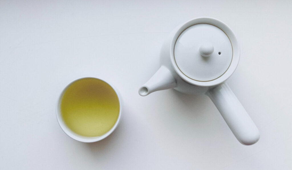 Yue Guang Bai: Moonlight White Tea Unveiled